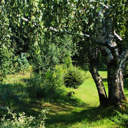 Gospodarstwo Agroturystyczne Powierzówka Leśna Zewnętrze zdjęcie