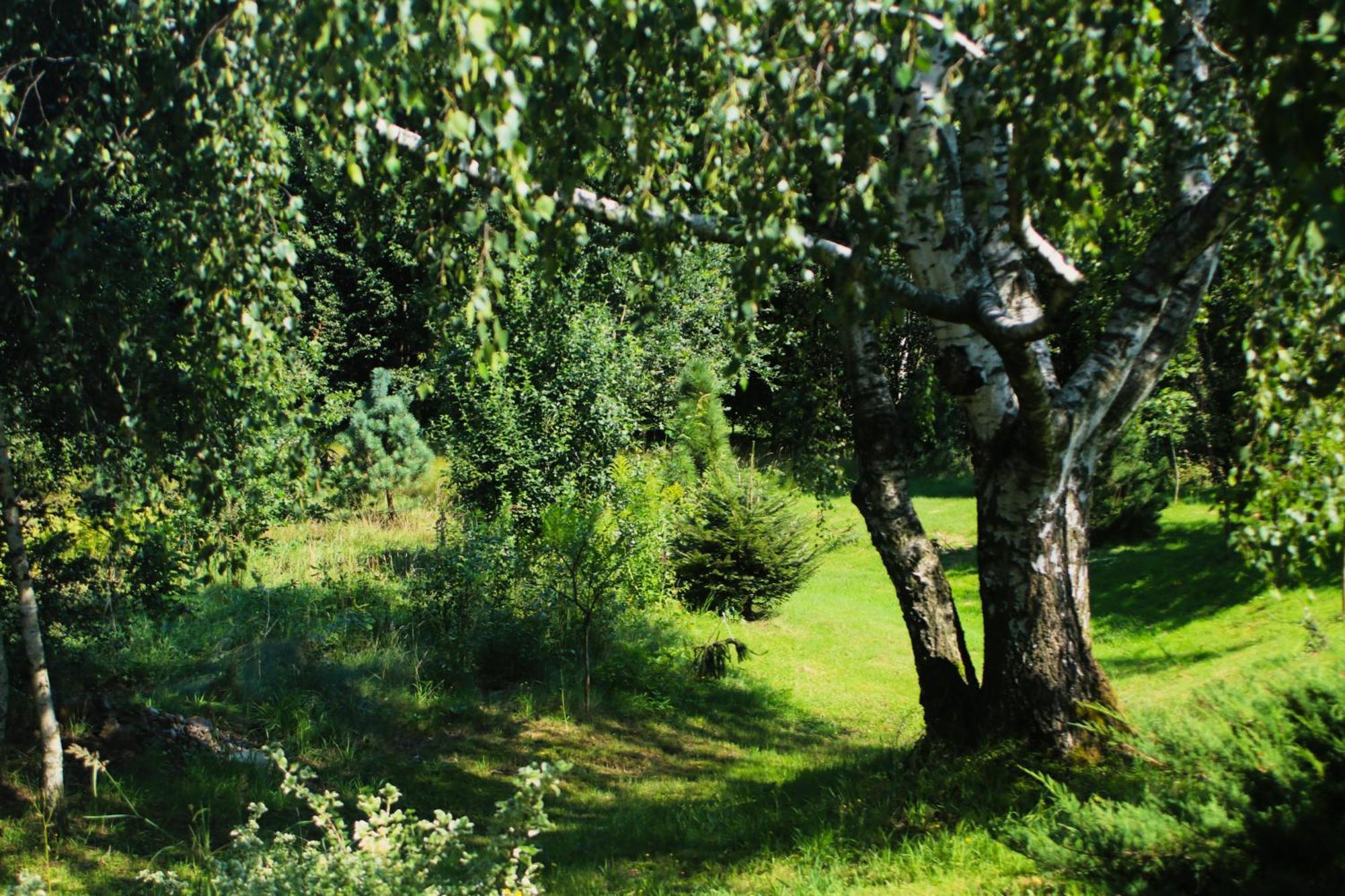 Gospodarstwo Agroturystyczne Powierzówka Leśna Zewnętrze zdjęcie