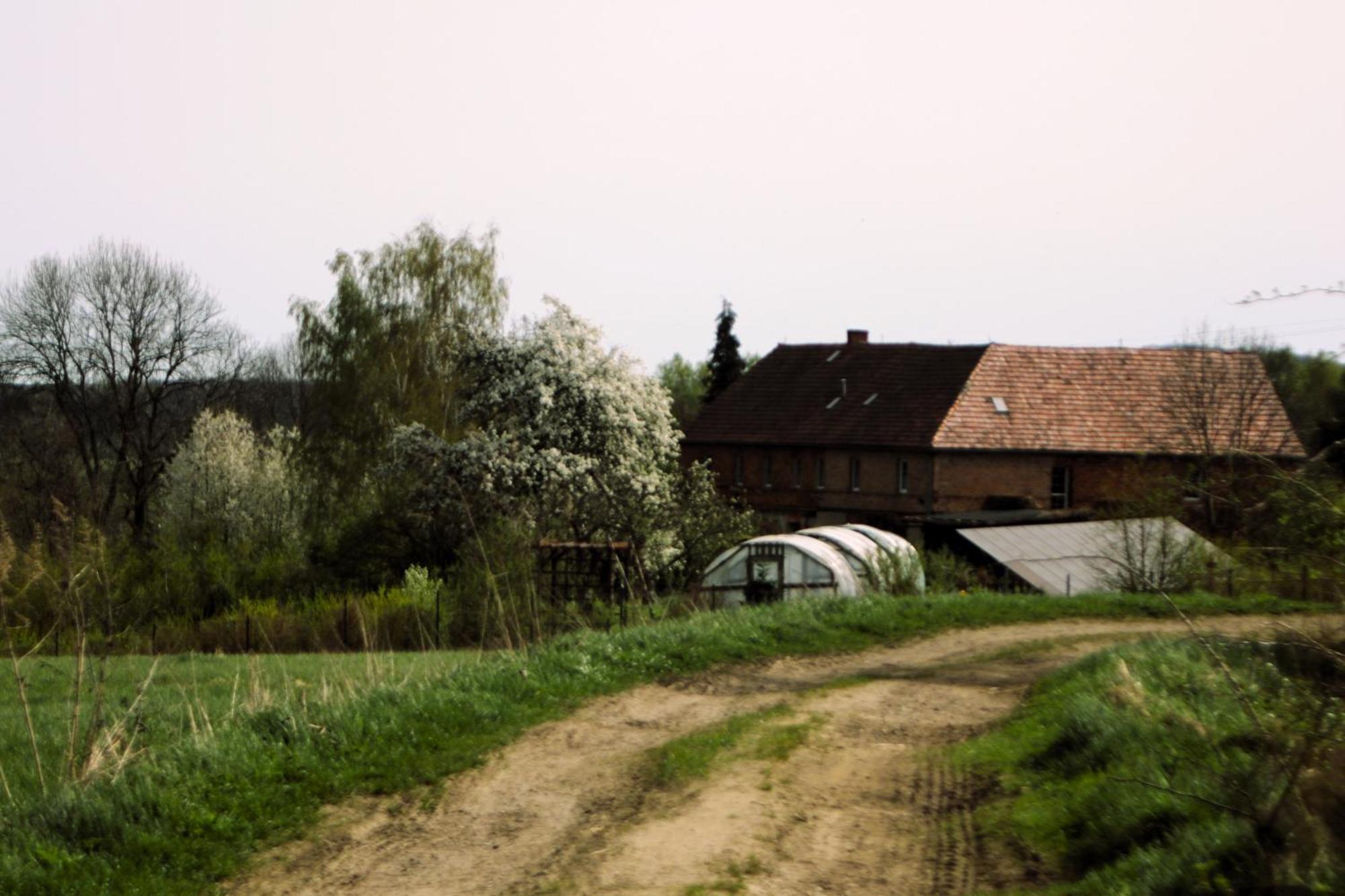 Gospodarstwo Agroturystyczne Powierzówka Leśna Zewnętrze zdjęcie