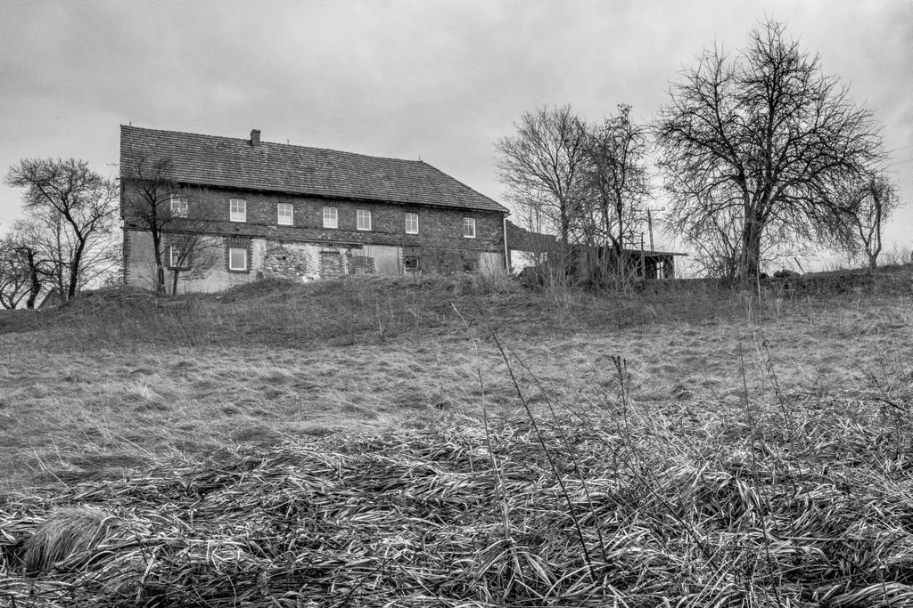 Gospodarstwo Agroturystyczne Powierzówka Leśna Zewnętrze zdjęcie