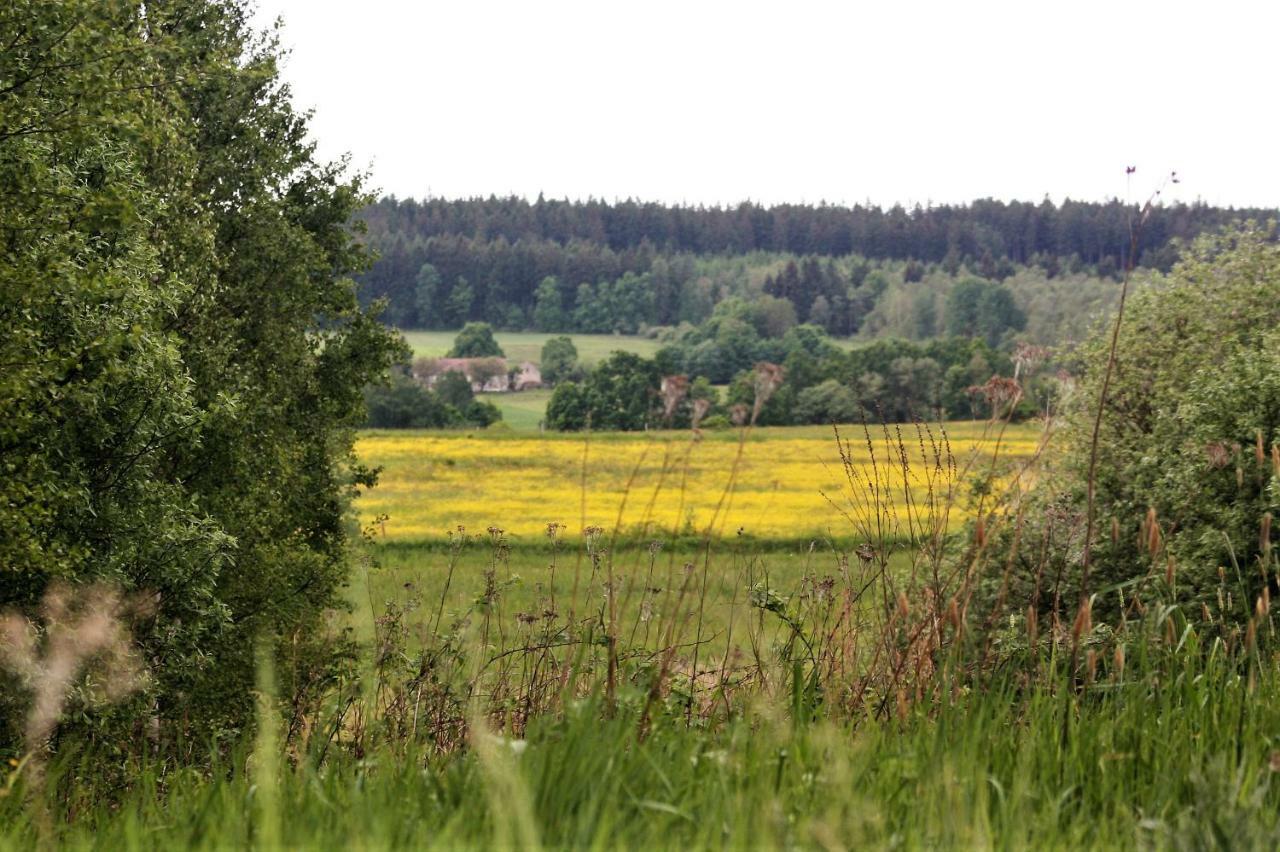 Gospodarstwo Agroturystyczne Powierzówka Leśna Zewnętrze zdjęcie