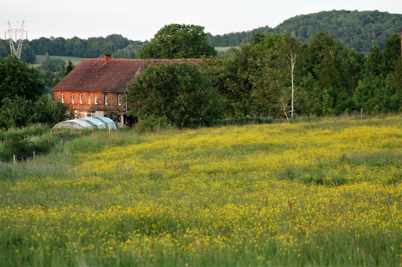 Gospodarstwo Agroturystyczne Powierzówka Leśna Zewnętrze zdjęcie